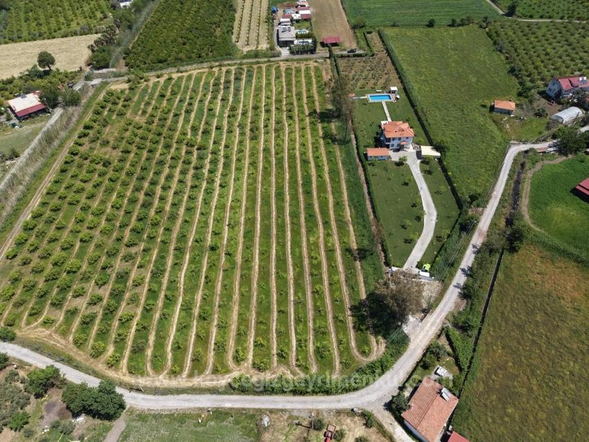 5100 M² Großes Grundstück In Der Nähe Des Stadtzentrums Von Dalyan Zu Verkaufen.