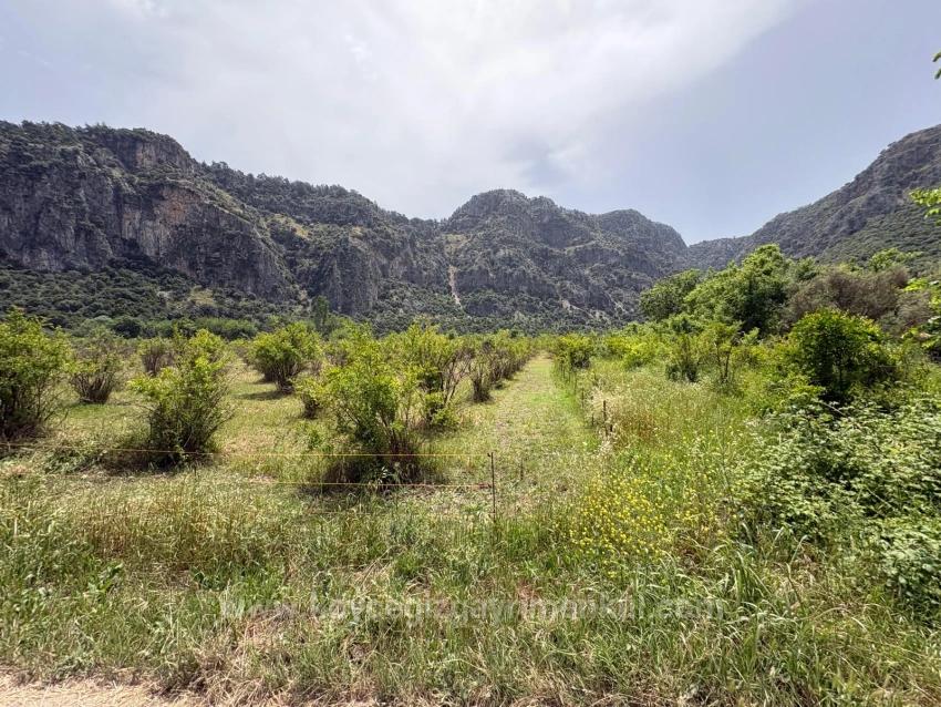 2100 M2 Großes Grundstück Zum Verkauf In Okçular Marmaris.
