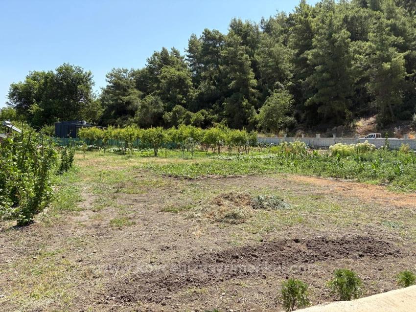 Freistehendes Holzhaus Mit 120 M² Wohnfläche Auf Einem 2500 M² Großen Grundstück In Der Gegend Von Dalyan Karadağ
