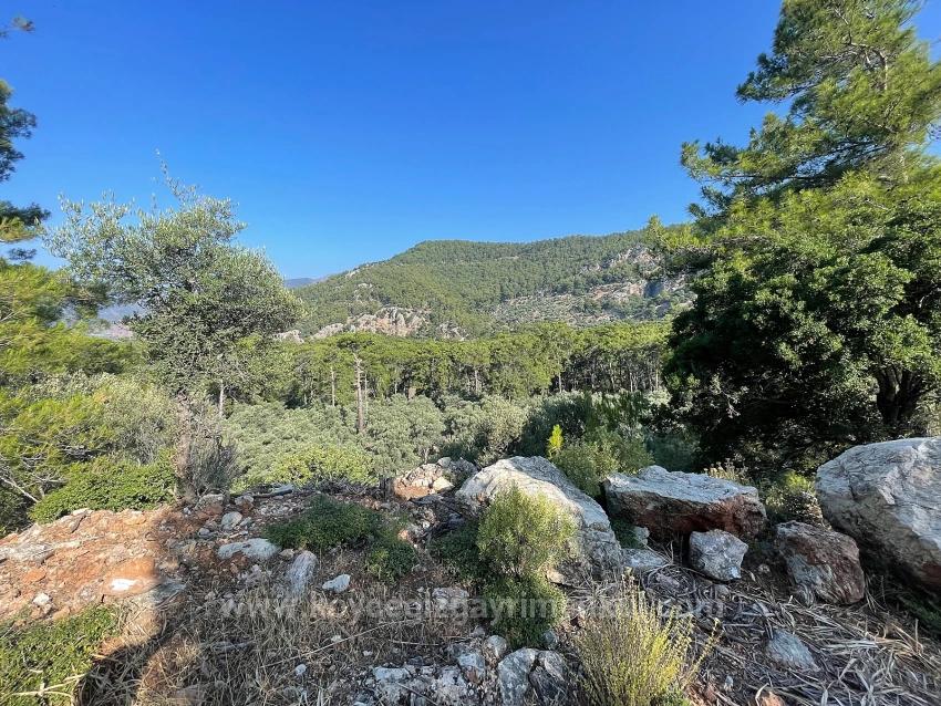 Schnäppchengrundstück Zum Verkauf Mit Meerblick In Der Gegend Von Ekincik-Çandır.
