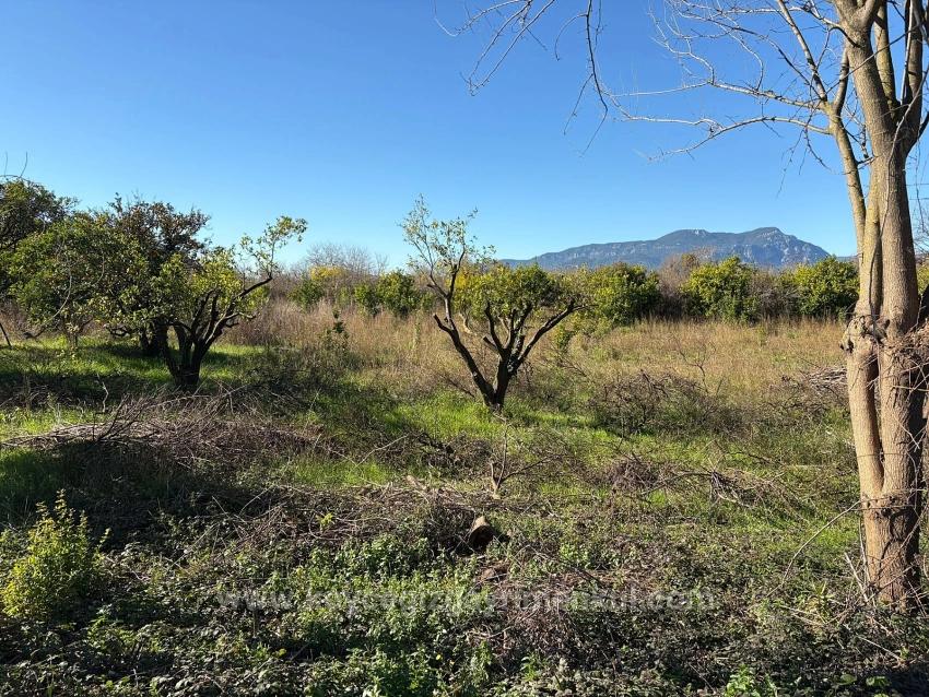 Grundstück Zum Verkauf In Ekşiliyurt, Mit Baugenehmigung, Innerhalb Einer Bebauten Fläche Von 1085 M².
