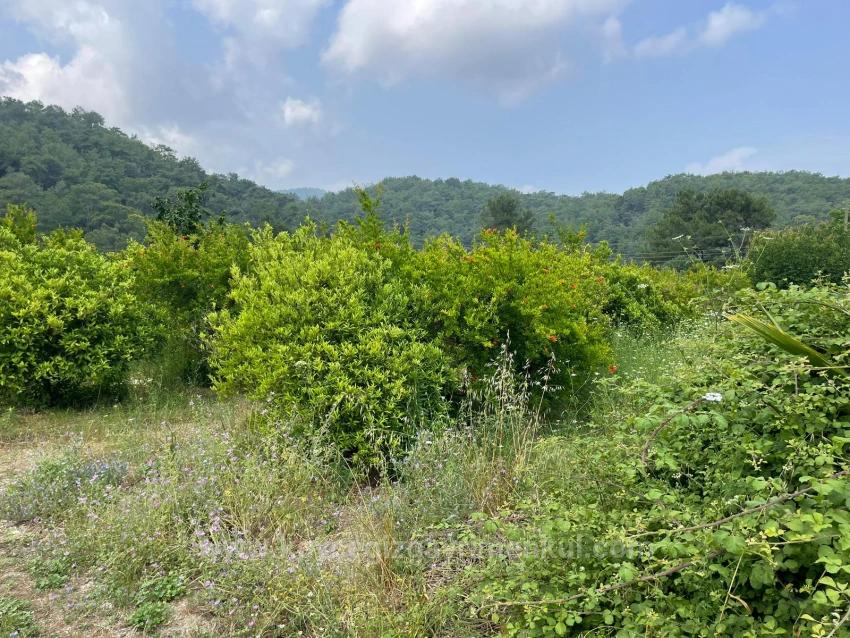 7800 M² Großes Grundstück Zum Verkauf In Gökbel, Neben Der Iztuzu Beach Road