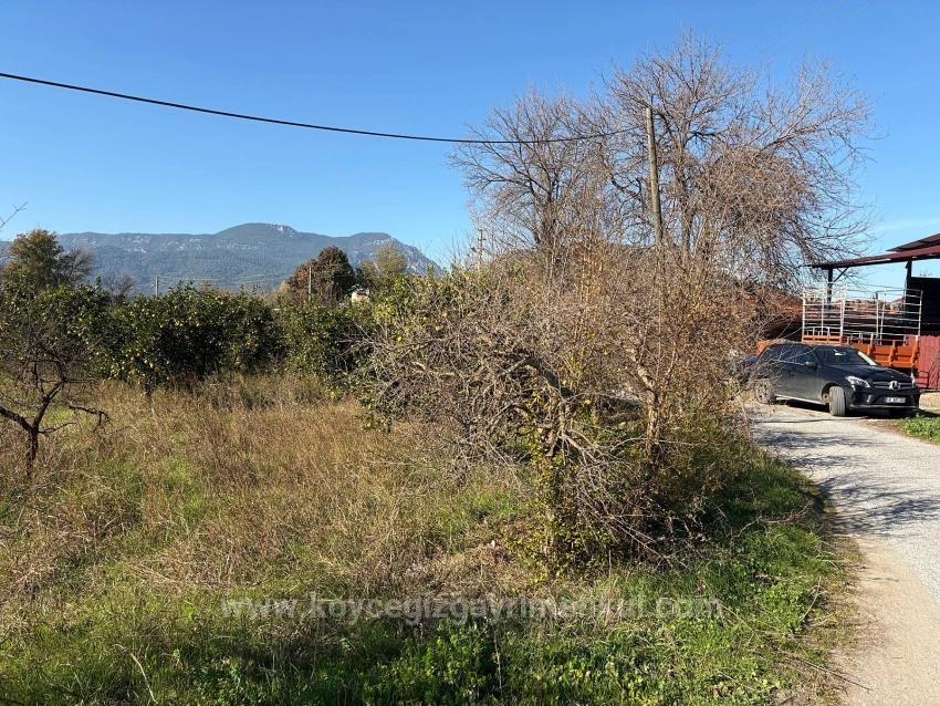 4.541 M² Großer Garten Zum Verkauf In Dalyan.