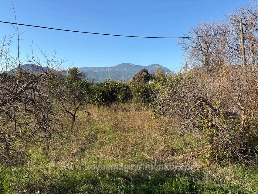 4.541 M² Großer Garten Zum Verkauf In Dalyan.