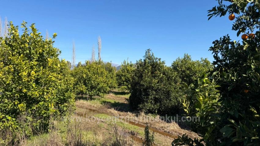 2.218M2 Grundstück Zum Verkauf In Okçular Marmarlı