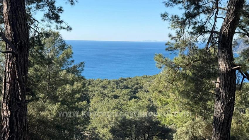 2B-Feld Von 5715 M2 Zum Verkauf Mit Vollem Meerblick In Çandır