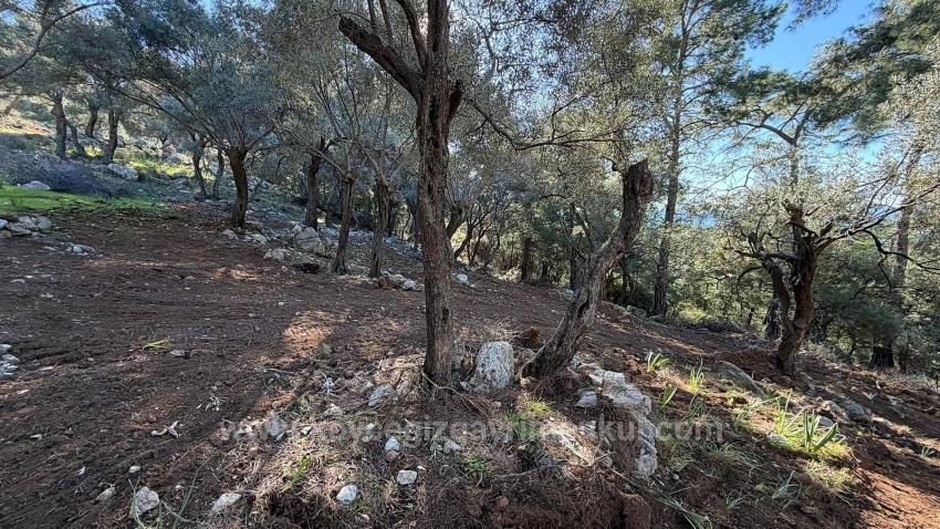 2B-Feld Von 5715 M2 Zum Verkauf Mit Vollem Meerblick In Çandır