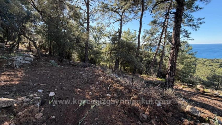 2B-Feld Von 5715 M2 Zum Verkauf Mit Vollem Meerblick In Çandır