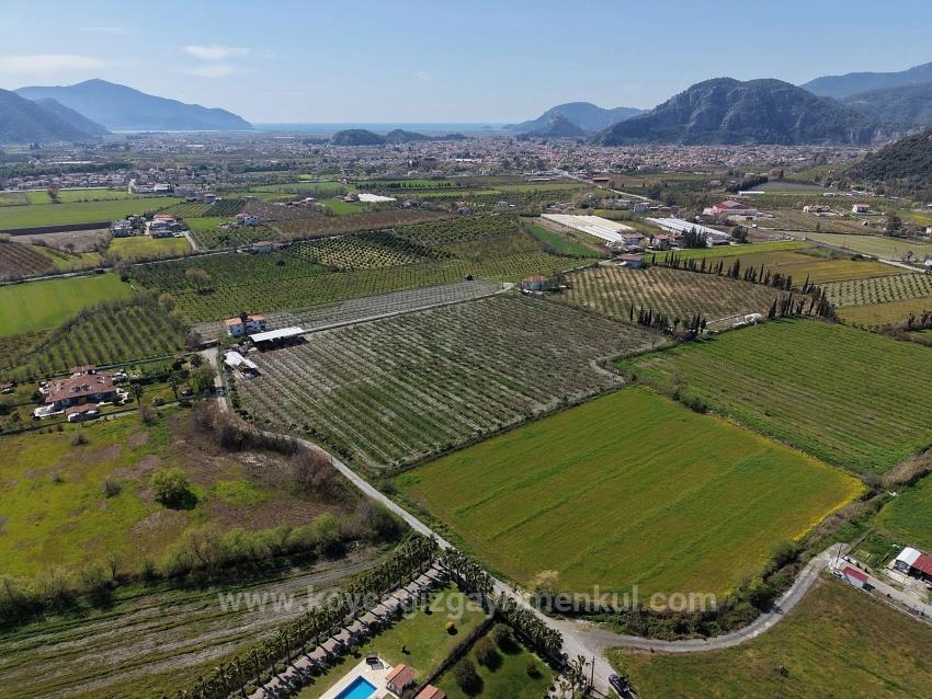 17.550 M2 Weinberg-Bahce Zum Verkauf In Der Nähe Des Dalyan Centers
