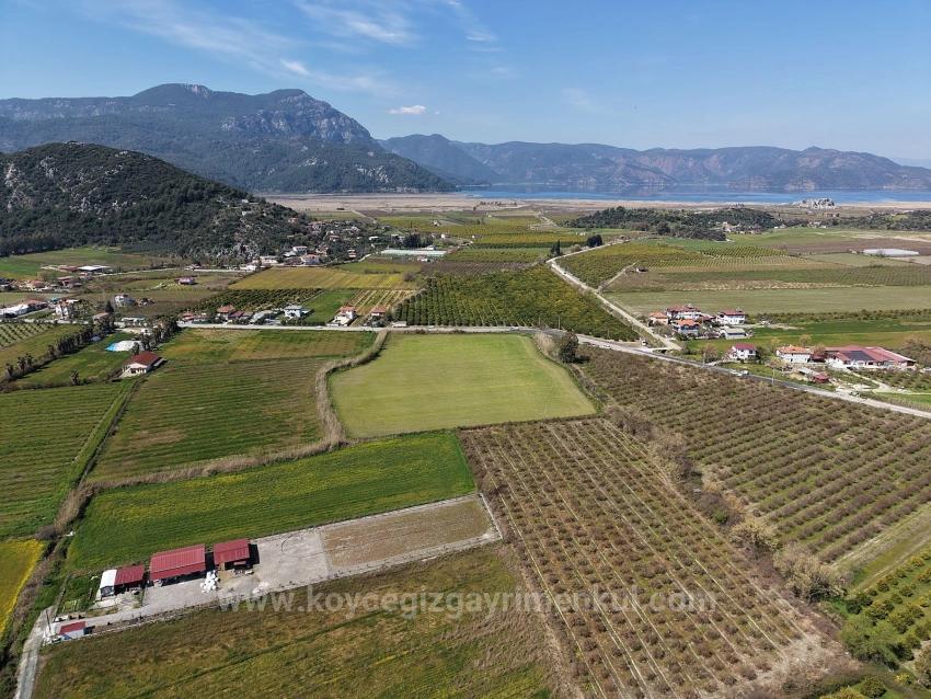 17.550 M2 Weinberg-Bahce Zum Verkauf In Der Nähe Des Dalyan Centers