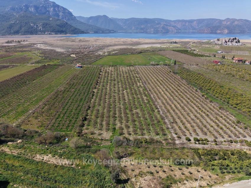 16.710 M² Granatapfelgarten Zum Verkauf Mit Seeblick In Eskiköy