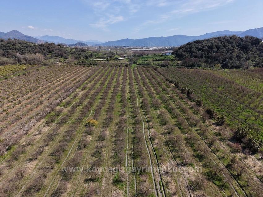 16.710 M² Granatapfelgarten Zum Verkauf Mit Seeblick In Eskiköy