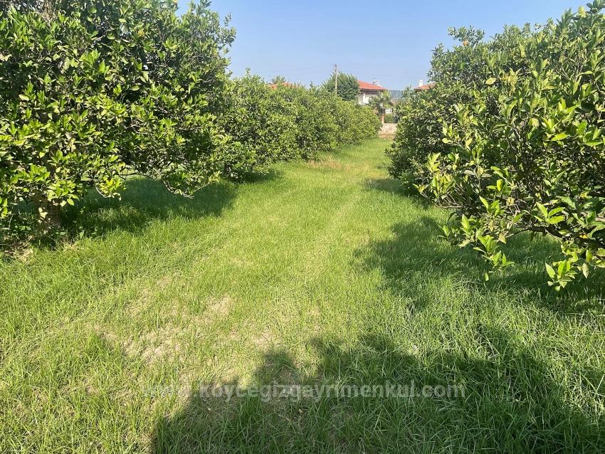 722M2 Grundstück Zum Verkauf In Dalyan Gülpınar