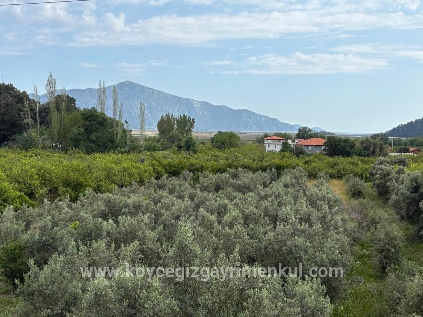 In Çandır Mit Meeres- Und Seeblick 1.721m2 Verkaufsfeld