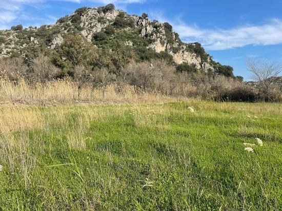 6800 M² Großes Grundstück In Dalyan Zu Verkaufen, 5% Wohnbebauungszone.