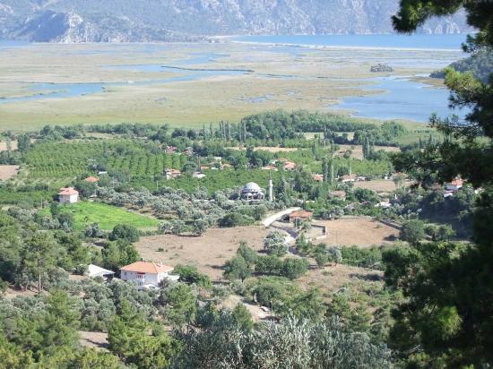 19.334 M² Großes Grundstück Zum Verkauf In Çandır, Köyceğiz.