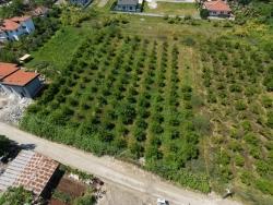 Land Zu Verkaufen in Okçular Bz. Ortaca - Gehäuse-Zonierung - 1.050 m²
