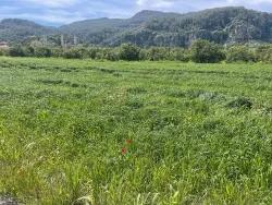 Land Zu verkaufen in Okçular Bz. Ortaca - Gehäuse-Zonierung - 736 m²