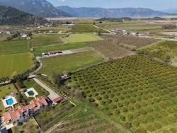 Weinberg & Garten Zu Verkaufen in Dalyan Bz. Ortaca - Weinberg & Garten-Zonierung - 17.550 m²