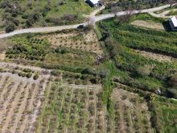Feld Zu Verkaufen in Eskiköy Bz. Ortaca - Feld-Zonierung - 16.710 m²