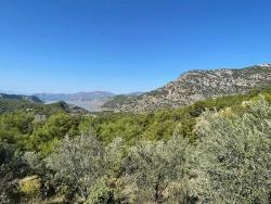 Land Zu Verkaufen in Gökbel Bz. Ortaca - Gehäuse-Zonierung - 3.514 m²