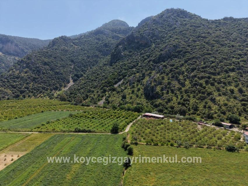 Feld Zu Verkaufen in Dalyan Bz. Ortaca - Feld-Zonierung - 5.100 m²