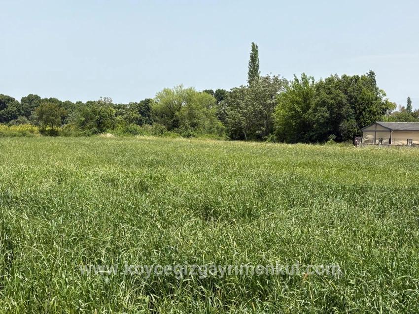 Land Zu Verkaufen in Okçular Bz. Ortaca - Gehäuse-Zonierung - 2.390 m²