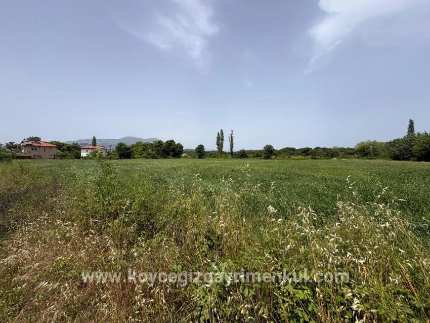 Land Zu Verkaufen in Okçular Bz. Ortaca - Gehäuse-Zonierung - 2.390 m²
