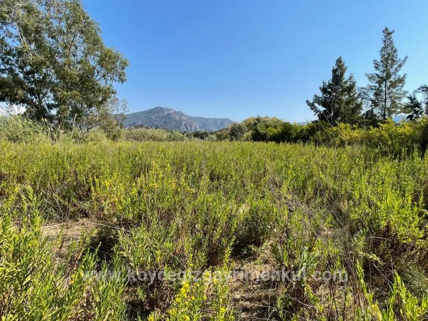 1+0-Zimmer Einfamilienhaus Zu Verkaufen in Çandır Bz. Köyceğiz - 2.765 m²