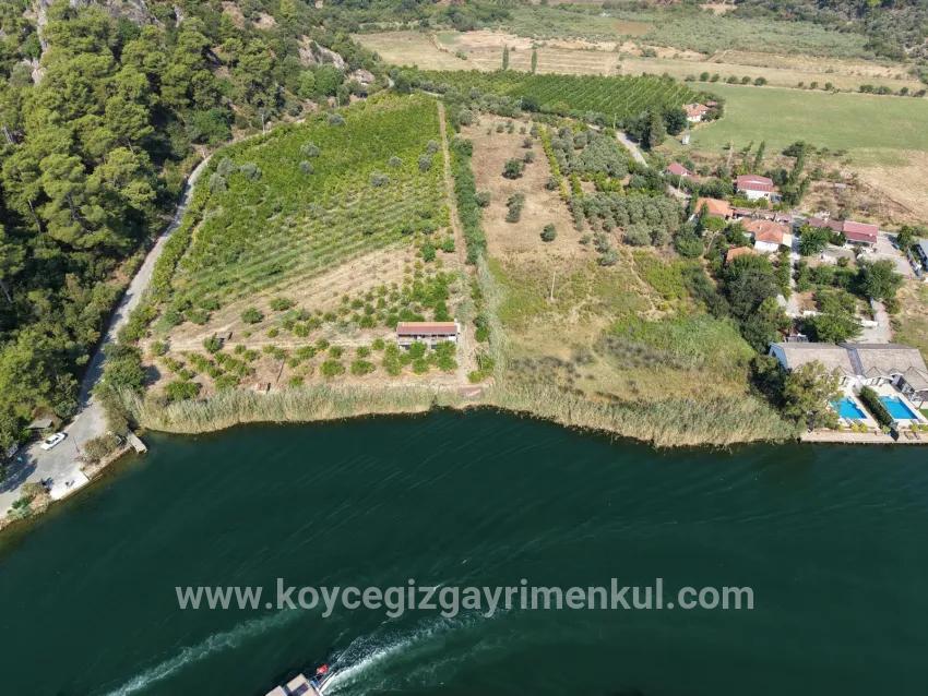 Feld Zu Verkaufen in Çandır Bz. Köyceğiz - Feld-Zonierung - 20.000 m²