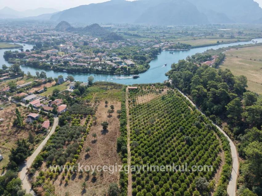 Feld Zu Verkaufen in Çandır Bz. Köyceğiz - Feld-Zonierung - 20.000 m²