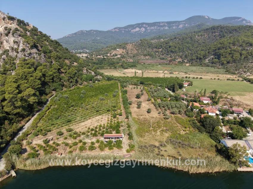 Feld Zu Verkaufen in Çandır Bz. Köyceğiz - Feld-Zonierung - 20.000 m²