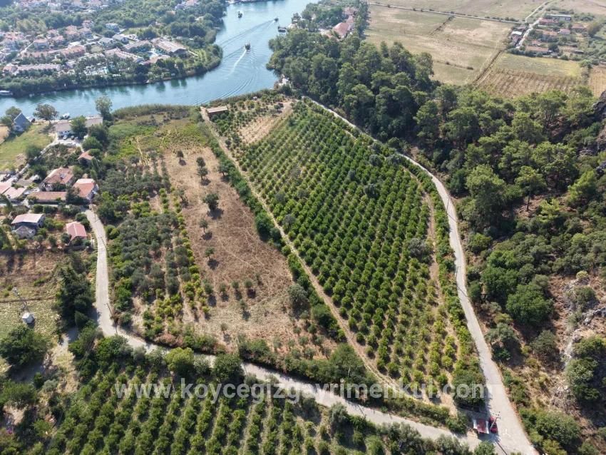 Feld Zu Verkaufen in Çandır Bz. Köyceğiz - Feld-Zonierung - 20.000 m²
