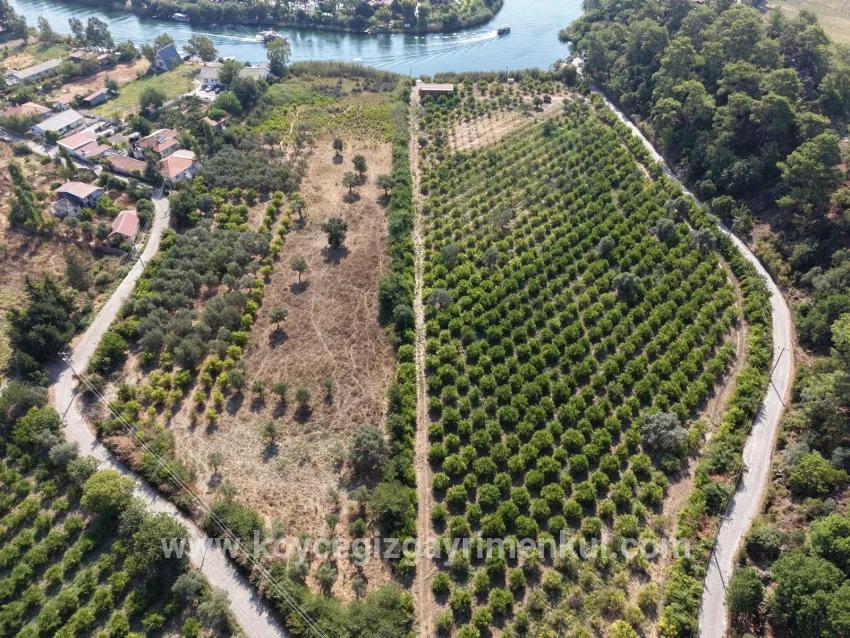 Feld Zu Verkaufen in Çandır Bz. Köyceğiz - Feld-Zonierung - 20.000 m²