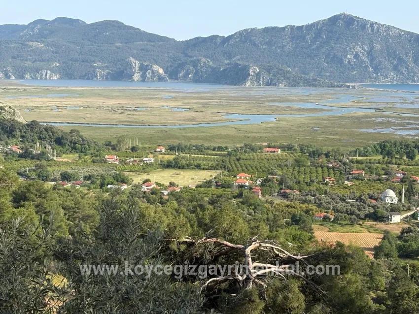 Feld Zu Verkaufen in Çandır Bz. Köyceğiz - Feld-Zonierung - 1.252 m²