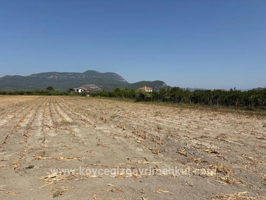 Feld Zu Verkaufen in Dalyan Bz. Ortaca - Feld-Zonierung - 20.786 m²