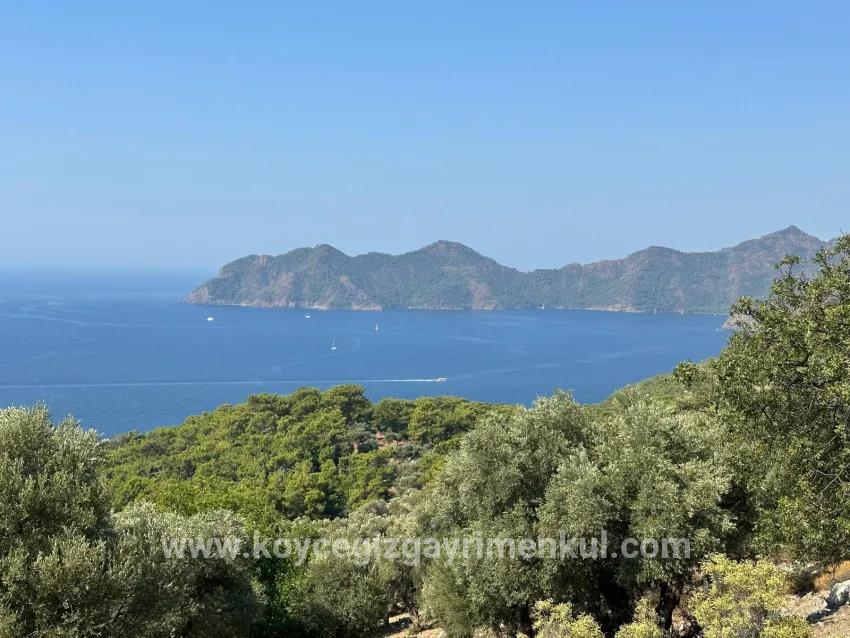 Feld Zu Verkaufen in Çandır Bz. Köyceğiz - Feld-Zonierung - 21.000 m²