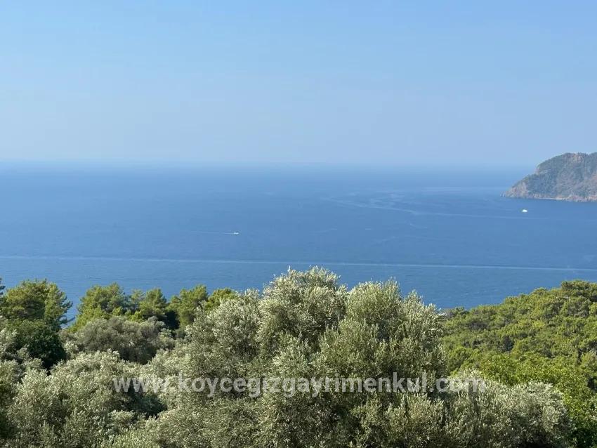 Feld Zu Verkaufen in Çandır Bz. Köyceğiz - Feld-Zonierung - 21.000 m²