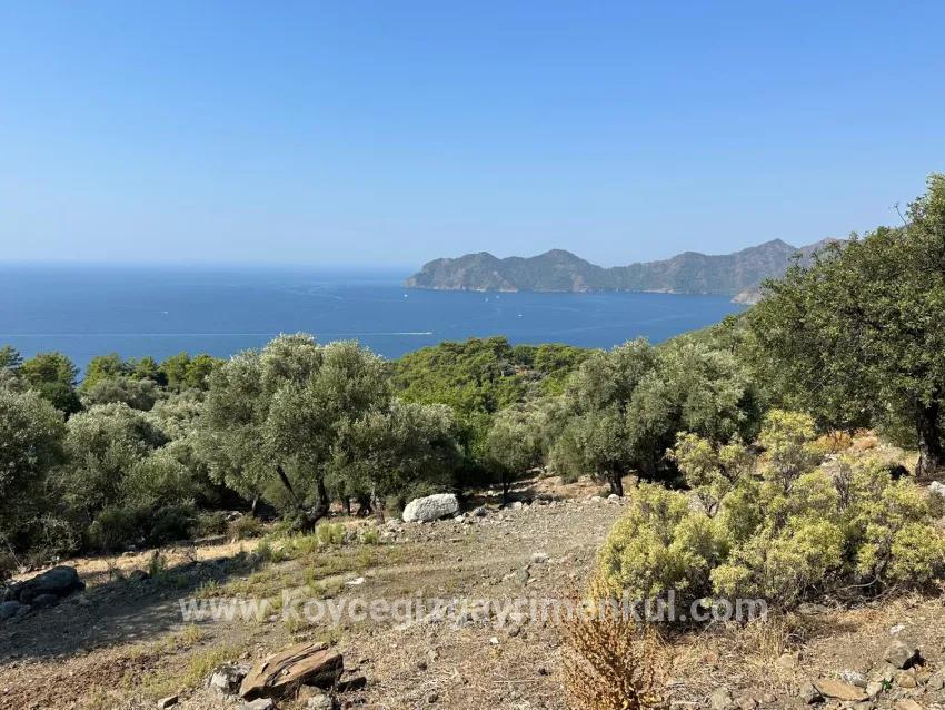 Feld Zu Verkaufen in Çandır Bz. Köyceğiz - Feld-Zonierung - 21.000 m²