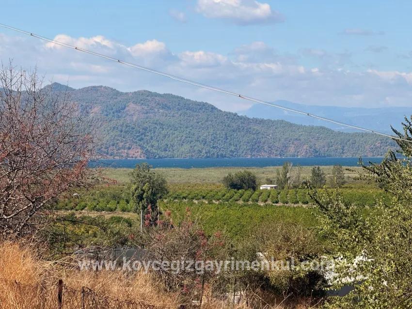 Feld Zu Verkaufen in Dalyan Bz. Ortaca - Feld-Zonierung - 5.000 m²