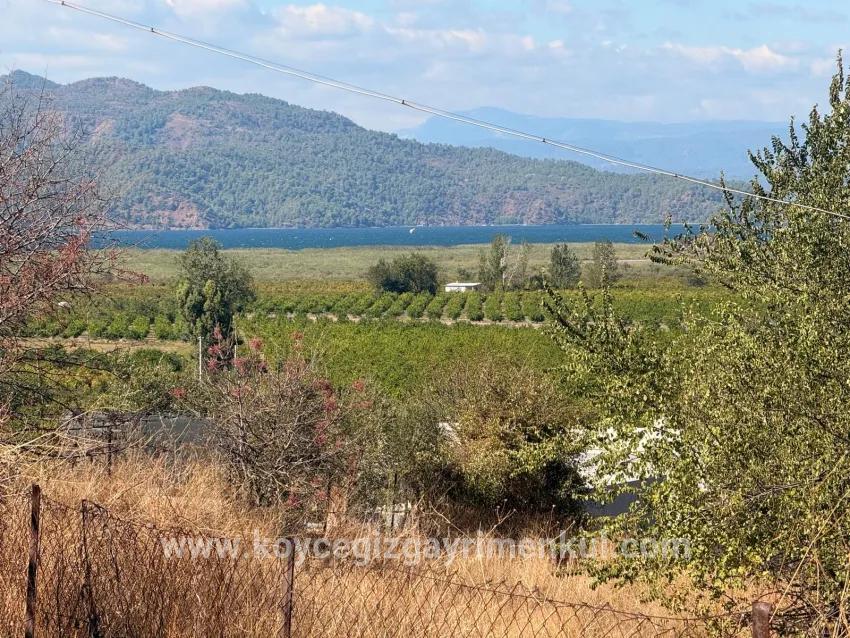 Feld Zu Verkaufen in Dalyan Bz. Ortaca - Feld-Zonierung - 5.000 m²
