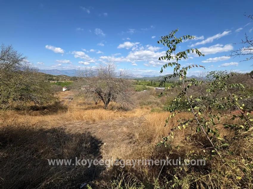 Feld Zu Verkaufen in Dalyan Bz. Ortaca - Feld-Zonierung - 5.000 m²