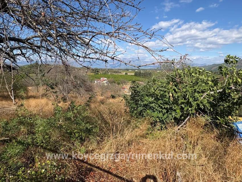 Feld Zu Verkaufen in Dalyan Bz. Ortaca - Feld-Zonierung - 5.000 m²