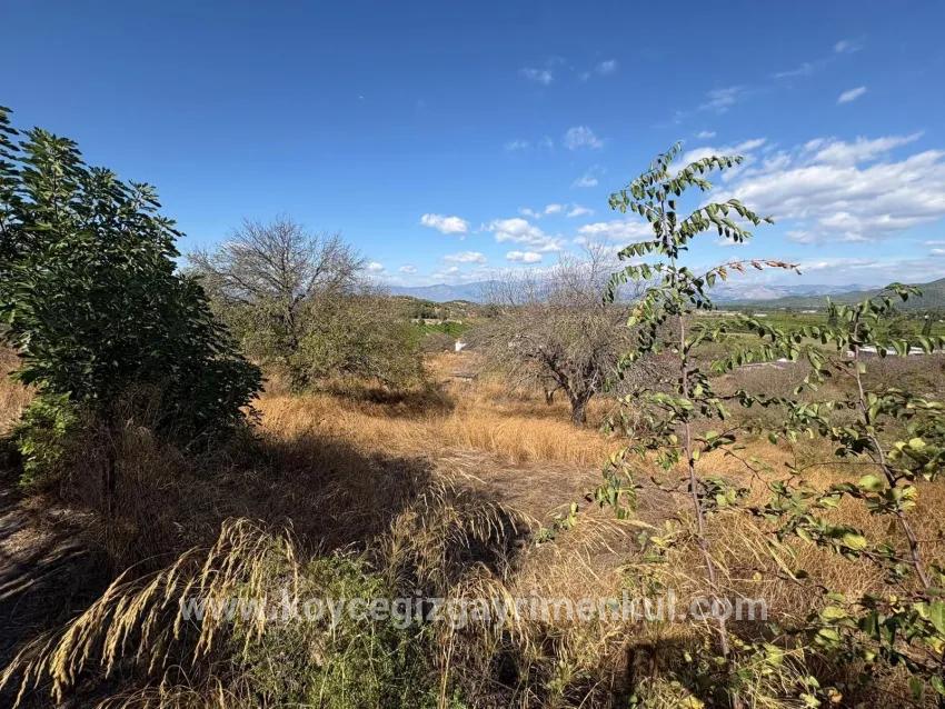 Feld Zu Verkaufen in Dalyan Bz. Ortaca - Feld-Zonierung - 5.000 m²