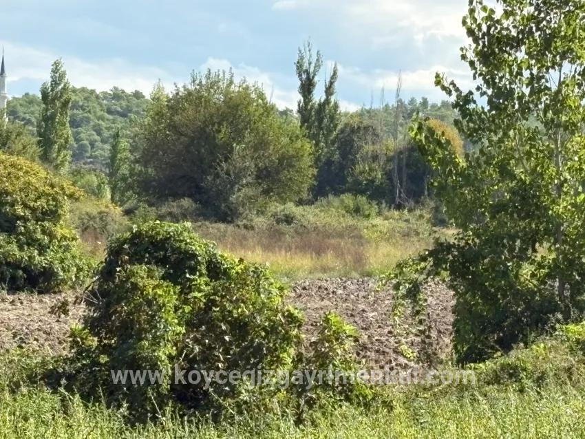 Feld Zu Verkaufen in Zeytinalanı Bz. Köyceğiz - Feld-Zonierung - 10.500 m²