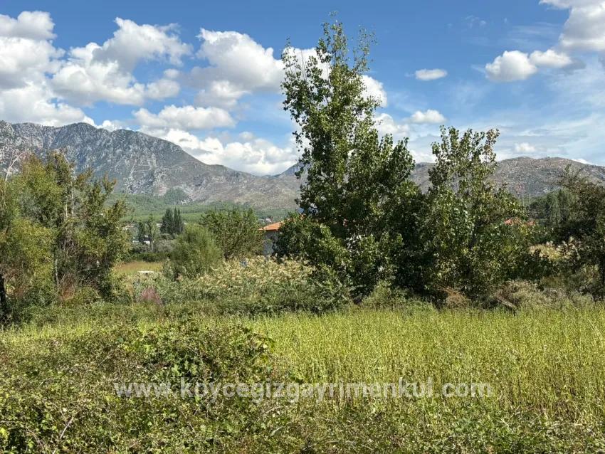 Feld Zu Verkaufen in Zeytinalanı Bz. Köyceğiz - Feld-Zonierung - 10.500 m²