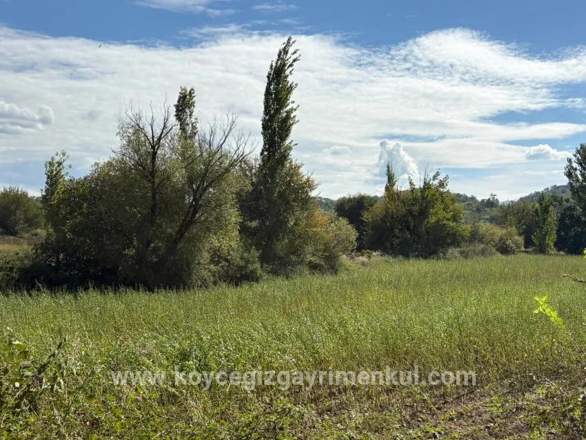 Feld Zu Verkaufen in Zeytinalanı Bz. Köyceğiz - Feld-Zonierung - 10.500 m²