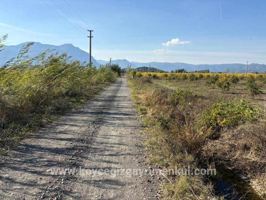 Feld Zu Verkaufen in Eskiköy Bz. Ortaca - Feld-Zonierung - 21.500 m²