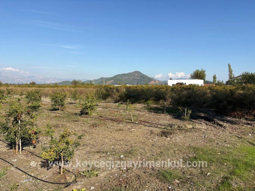 Feld Zu Verkaufen in Eskiköy Bz. Ortaca - Feld-Zonierung - 21.500 m²