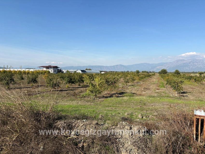 Feld Zu Verkaufen in Eskiköy Bz. Ortaca - Feld-Zonierung - 21.500 m²